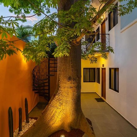 Casa Madero Hotel La Paz Zewnętrze zdjęcie